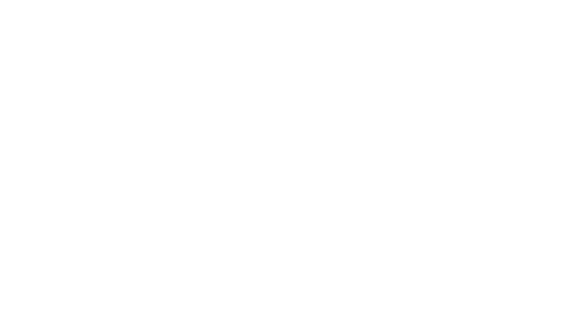 NXT token distribution